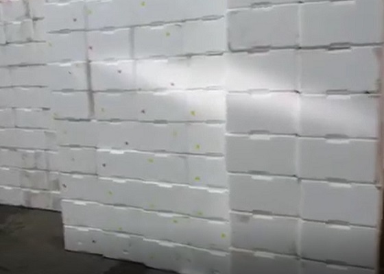 Blumar Seafoods Invested GREENMAX Polystyrene Foam Compactor to Process Foam Fish Boxes